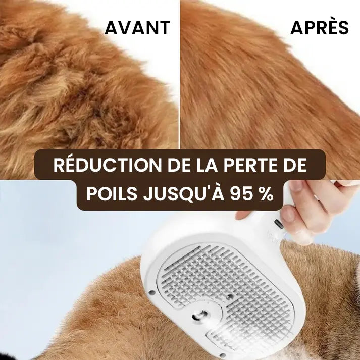 EasyPaws™